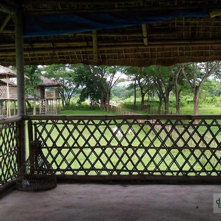Dhansiri Eco Camp Bokākhāt Exterior photo